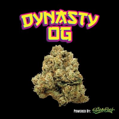 Dynasty OG