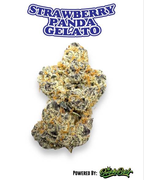 Strawberry Panda Gelato