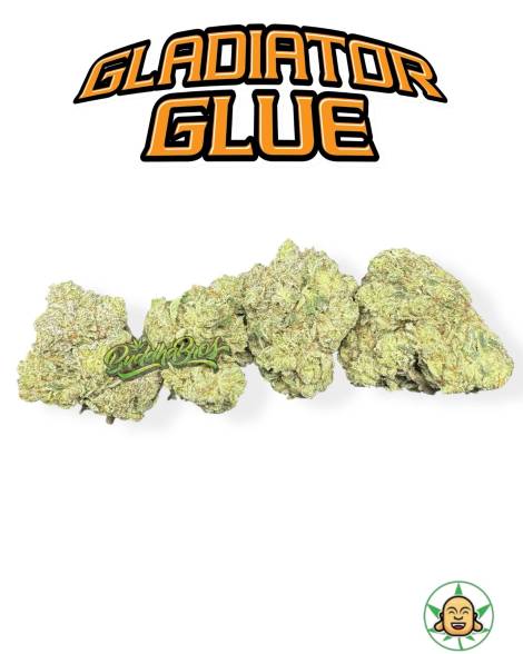 Gladiator Glue