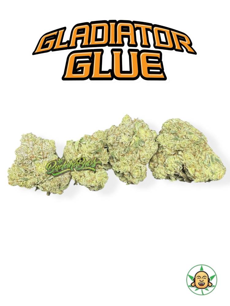 Gladiator Glue