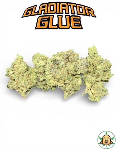 Gladiator Glue