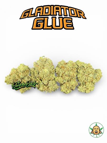 Gladiator Glue