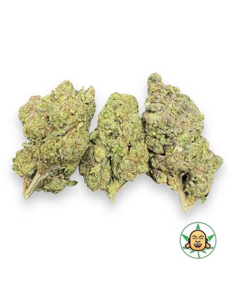 Blue Biscotti