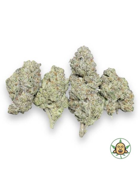 Candy Gas
