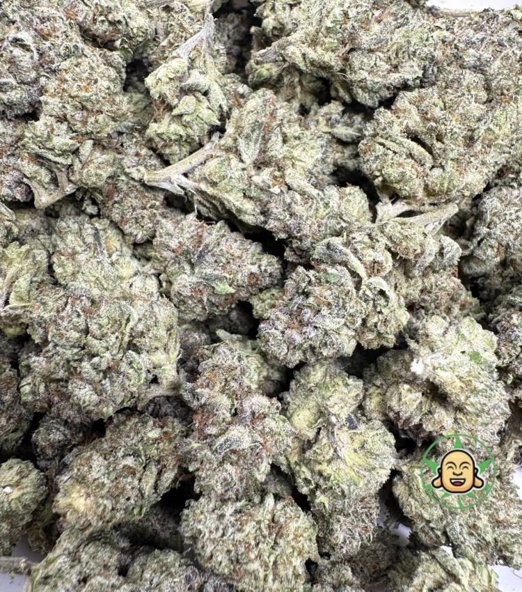 Candy Gas - Image 2