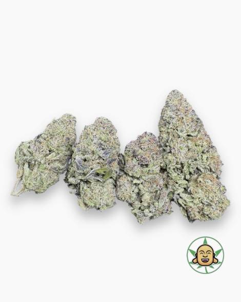 Kush Mintz