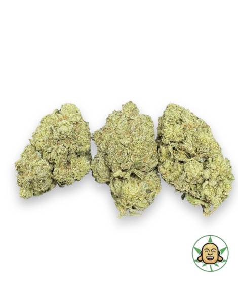 Elmer’s Glue