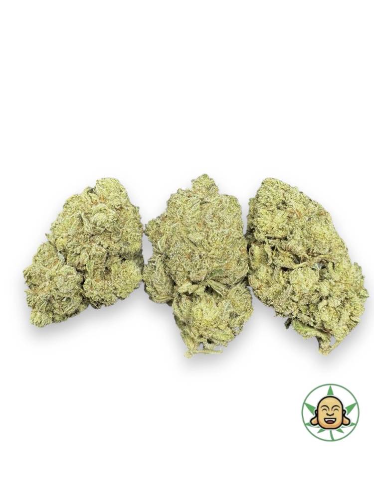 Elmer’s Glue