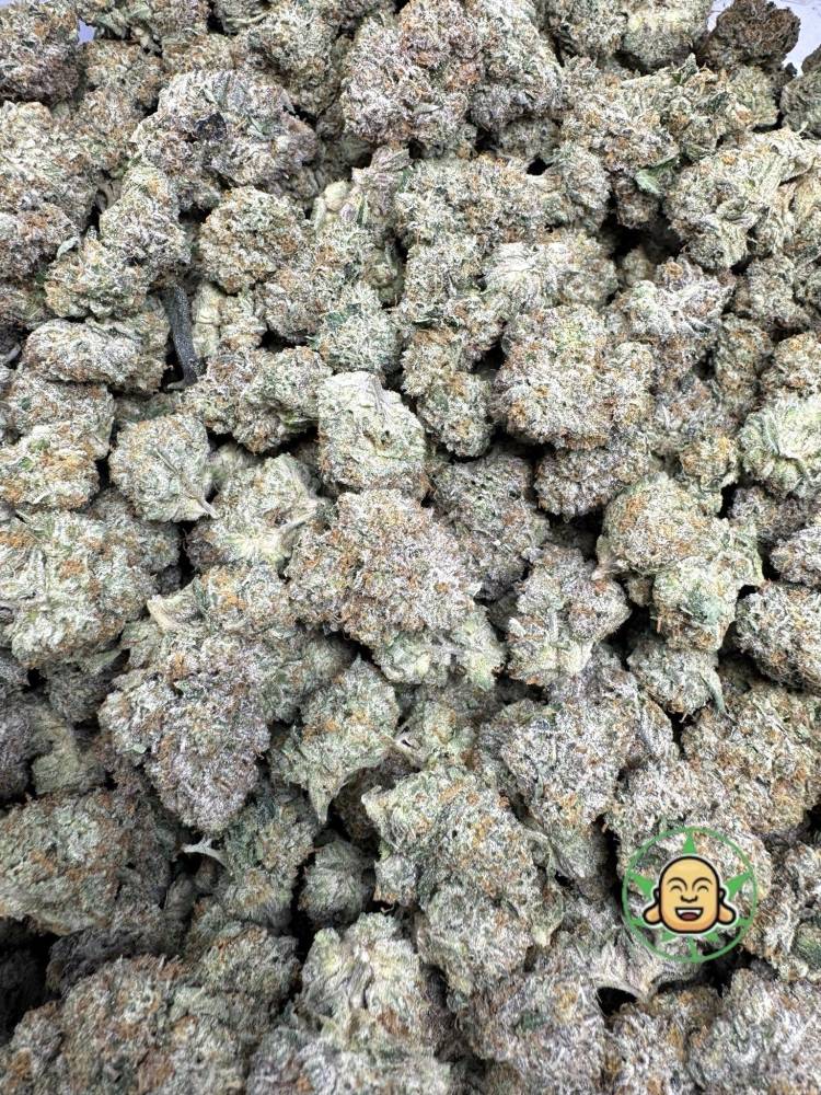 OZK Aka Oz Kush - Image 2