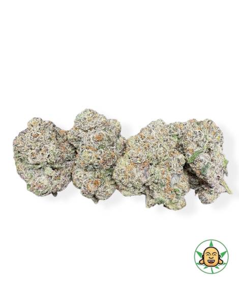Bubblegum