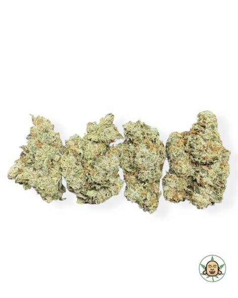 Chem Haze
