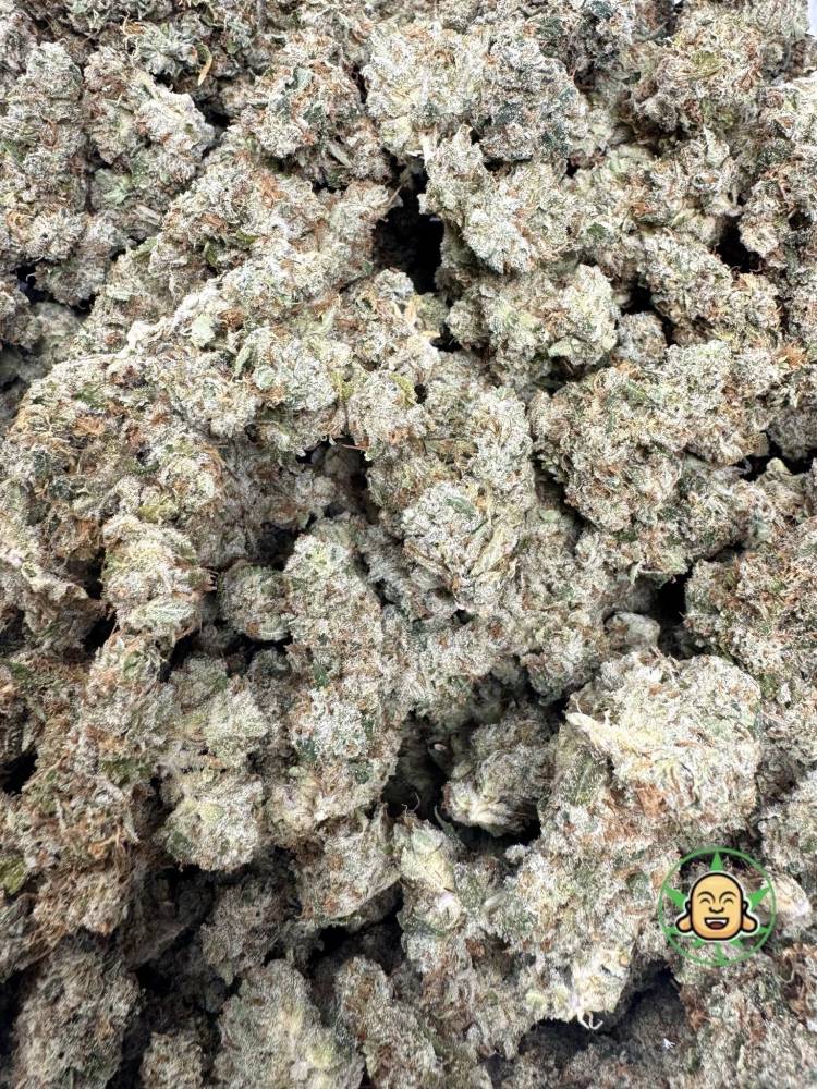 Chem Haze