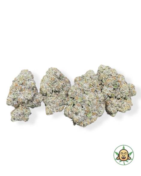 White Fire Alien