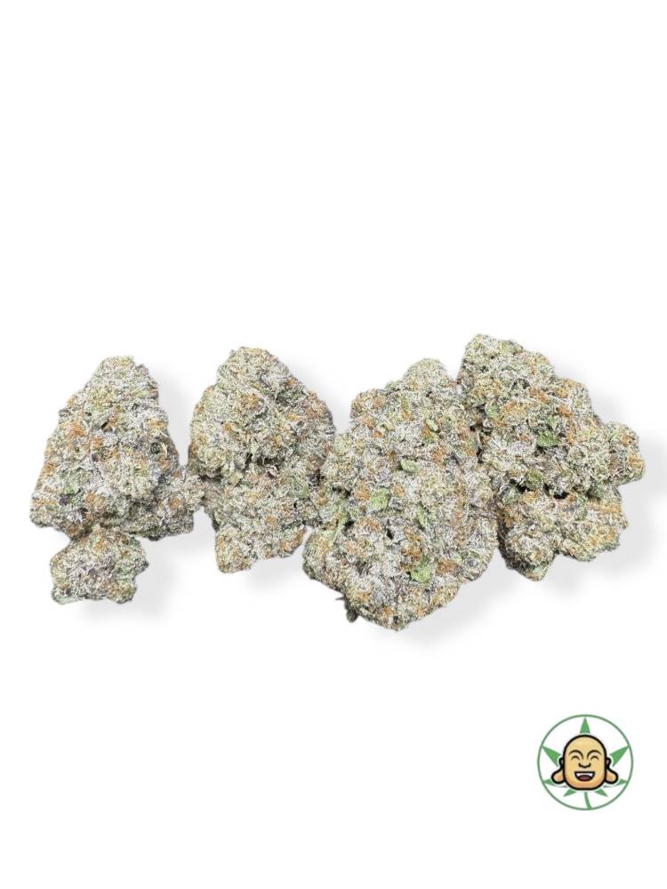 White Fire Alien