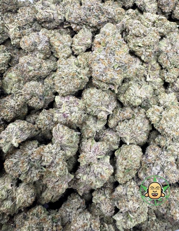 White Fire Alien