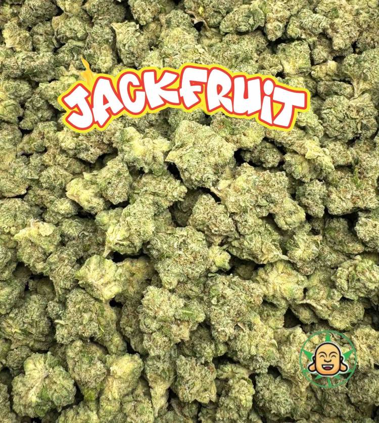 Jackfruit Mediums By BuddhaBrosLA - Image 2