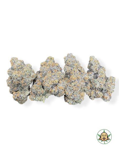 Orange Daiquiri #82