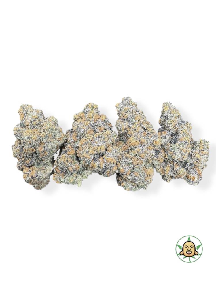 Orange Daiquiri #82