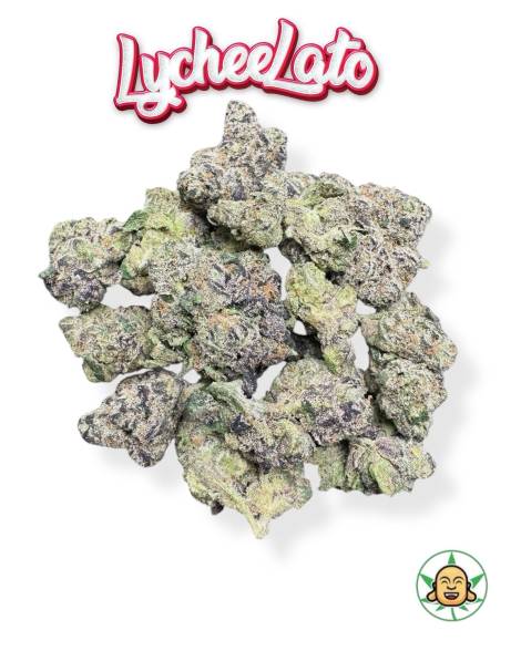 LycheeLato (Mediums)