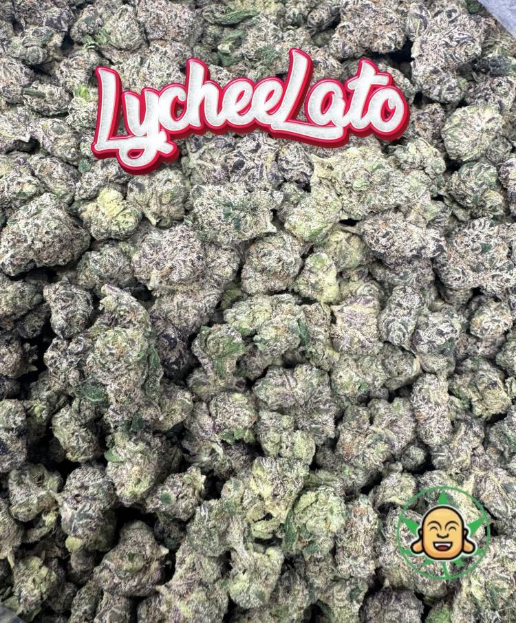 LycheeLato (Mediums)