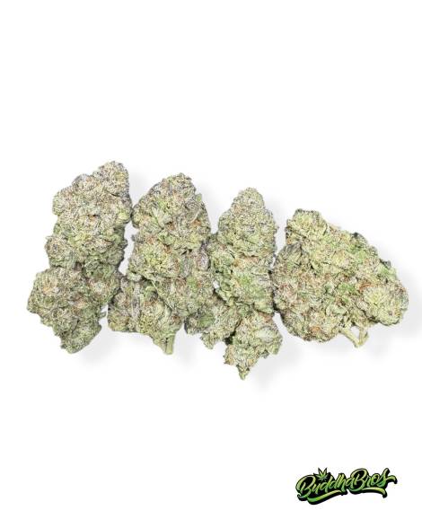 Northern Lights #5