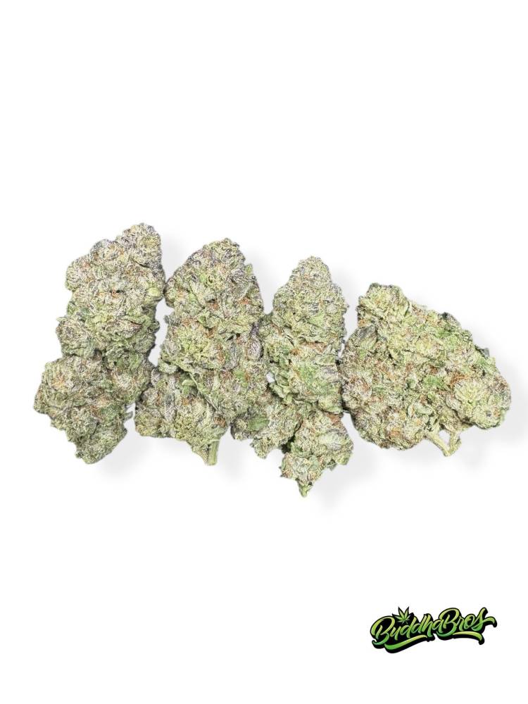 Northern Lights #5
