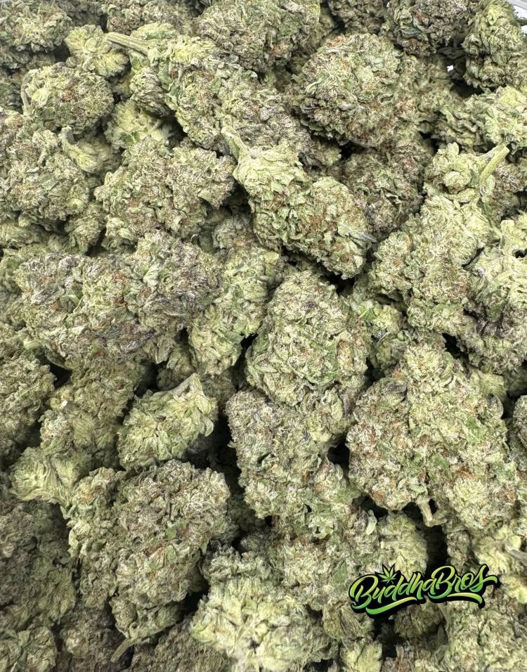 Northern Lights #5