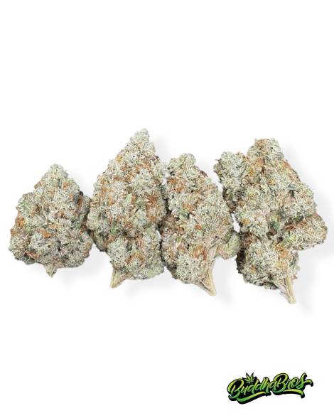 Skywalker OG