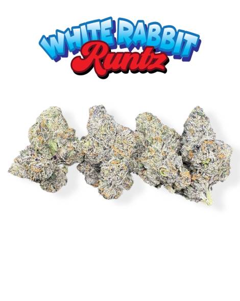 White Rabbit Runtz
