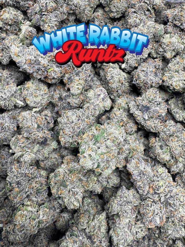 White Rabbit Runtz