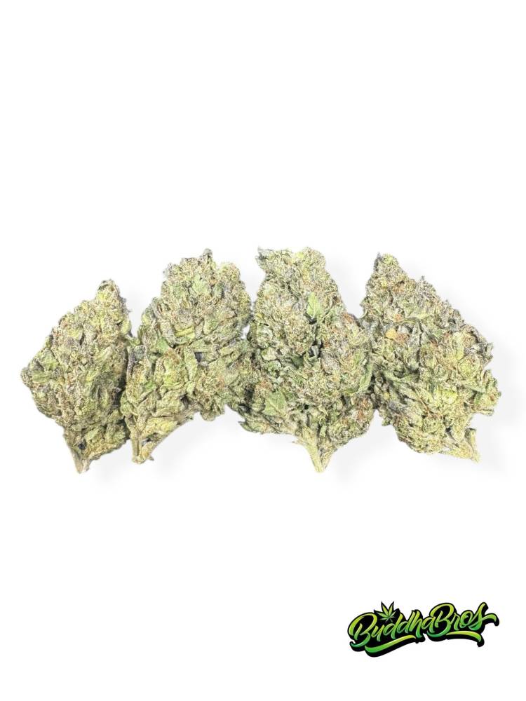 Sour Sherbet