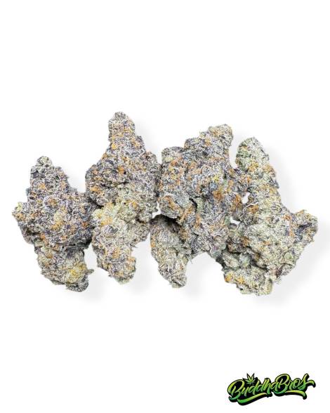 Black Cherry Gelato