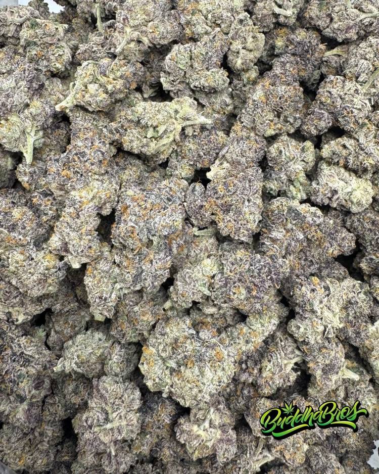 Black Cherry Gelato