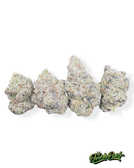 Menthol Kush x Gelato 41