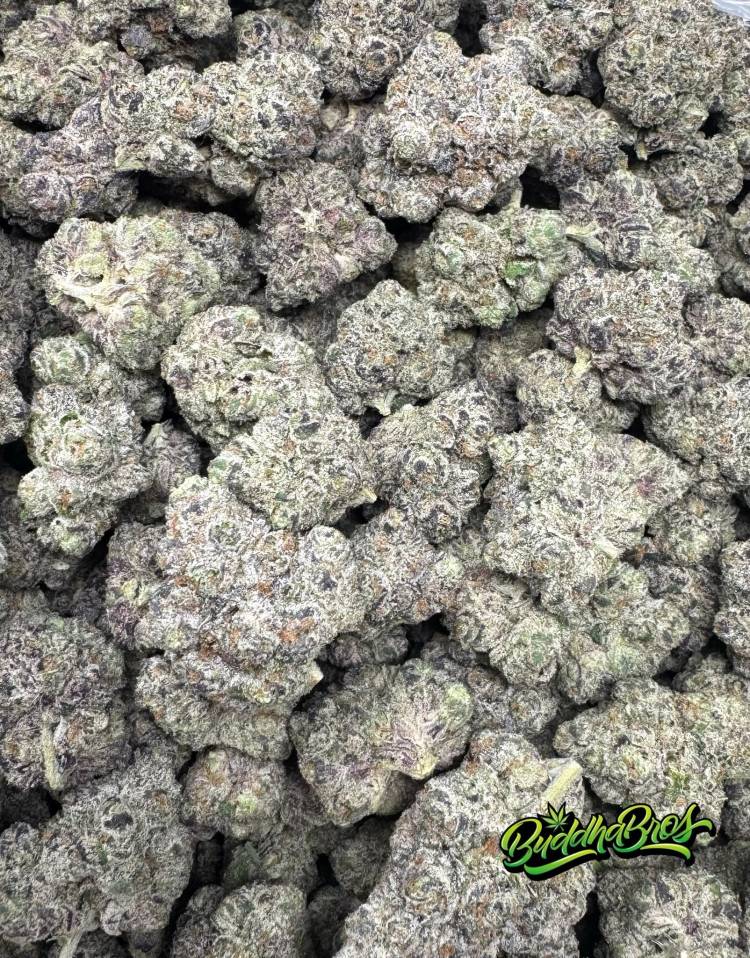 Menthol Kush x Gelato 41