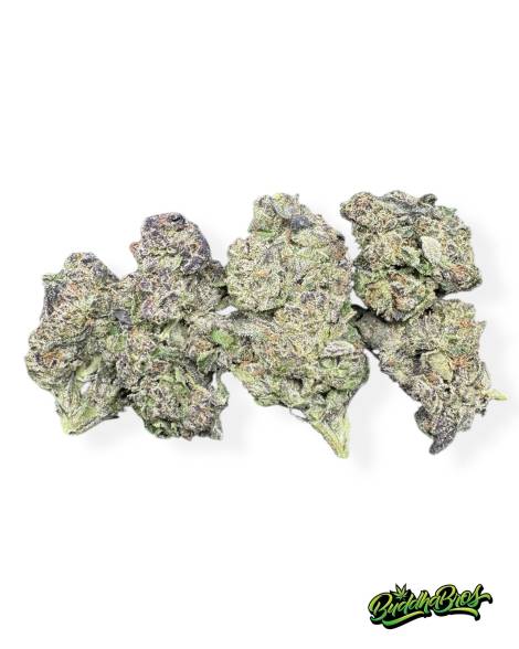 Sugar Pop