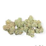 Sterling Kush