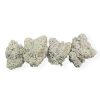 White Cherry Gelato