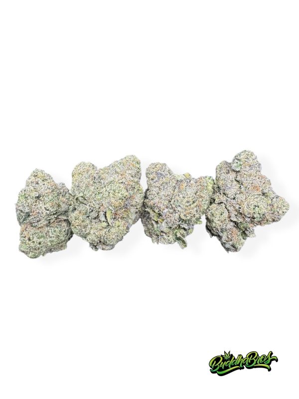 White Cherry Gelato
