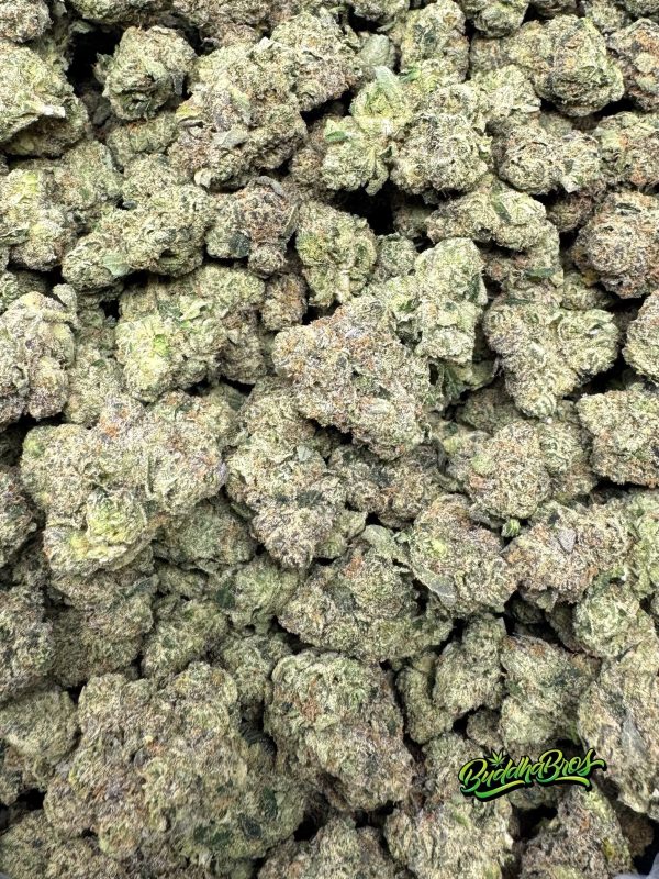 White Cherry Gelato