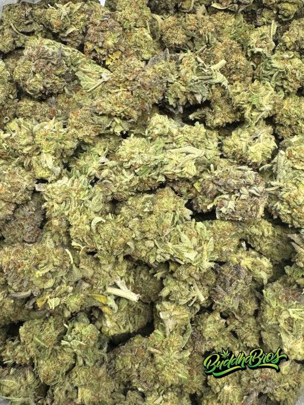 Purple Platinum