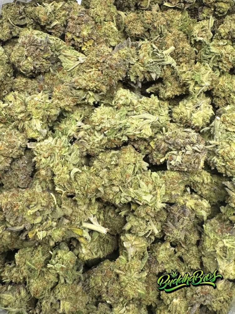Purple Platinum