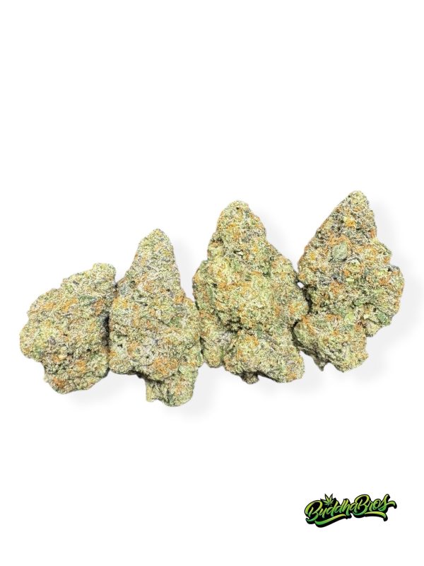 Gelato 41