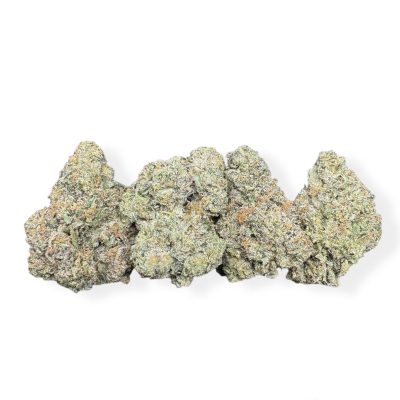 Gelato 41 x Animal Mintz