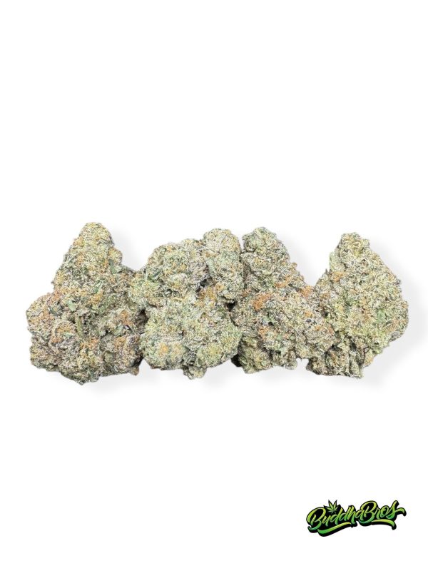 Gelato 41 x Animal Mintz