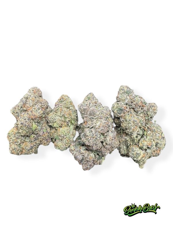 Gelato 33
