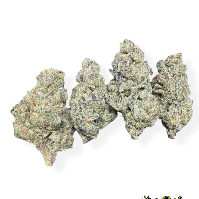 Gelato 41