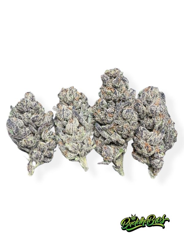 Sherb Cream Pie