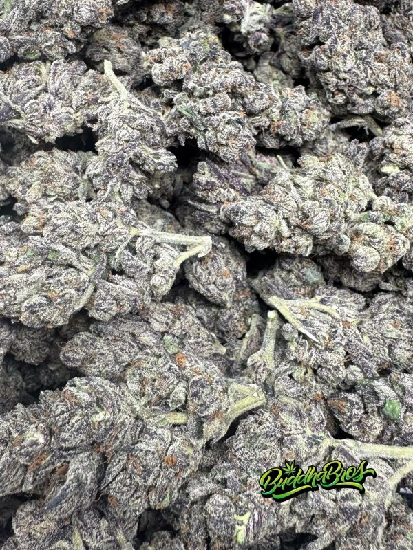 Sherb Cream Pie