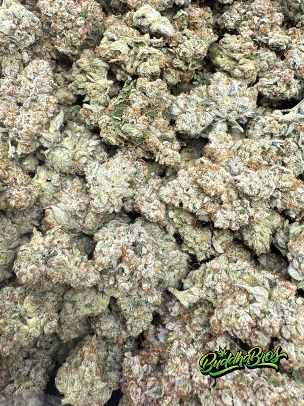 Marathon OG